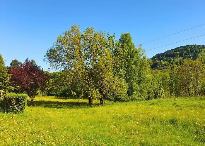 La Pause Bourboulienne Rdc Avec Balcon Apartment La Bourboule